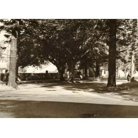 Victoria Parade corner Darley Road, Manly, 1st July 1937