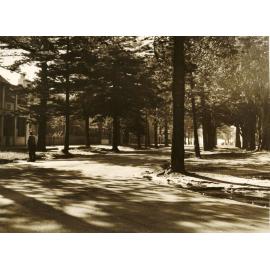 Victoria Parade near East Esplanade, Manly, 1st July 1937 