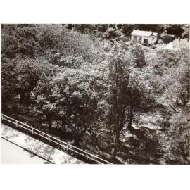 View of Ivanhoe Park, Manly, February 1952