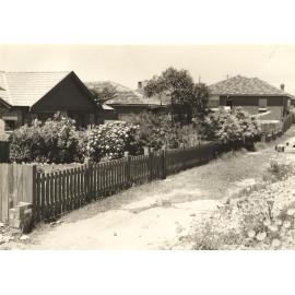 Violet Street north side, Balgowlah, 25th November 1937
