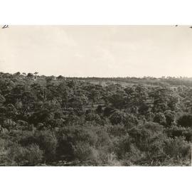 War service homes estate north Seaforth, Seaforth, 30th June 1947
