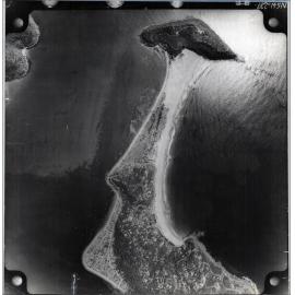 Aerial photograph of Barrenjoey, Palm Beach, 1956