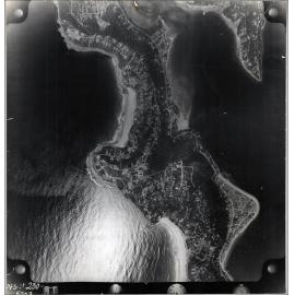 Aerial photograph of Whale Beach, Careel Bay, Palm Beach, 1956
