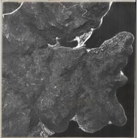 Aerial photograph of the Basin, Ku-ring-gai Chase, 1965