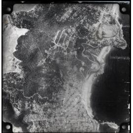 Aerial photograph of Newport, Bilgola Beach, Bilgola Plateau, Clareville, 1956