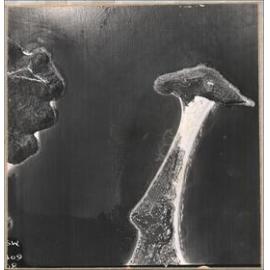 Aerial photograph of West Head, Barrenjoey, Palm Beach, 1965