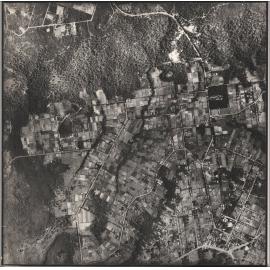 Aerial photograph of Warriewood, 1951
