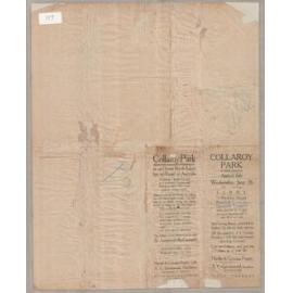 Collaroy Park Estate 1916: Subdivision Plan