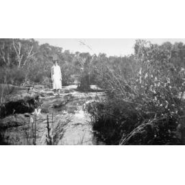 Eva Osborne Saddle Creek Narrabeen