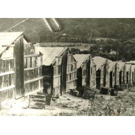 Glasshouses at Warriewood, c1940s