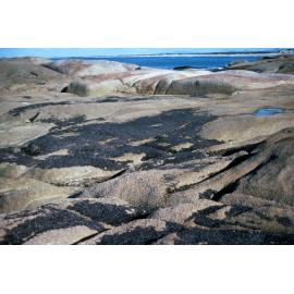 Mussel Band, Flinders Island, 1981