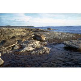 Sheltered Zonation, La Perouse, 1969