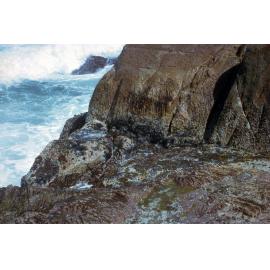 Galeolaria Exposed, Port Stephens, 1963
