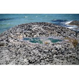 Small Mussels, Hunter Island