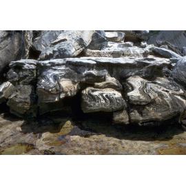 Rock Sculpturing, Nielsen Park, 1986