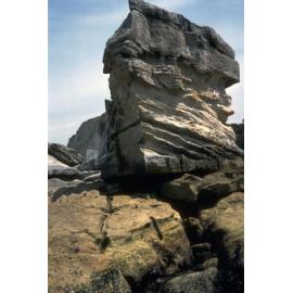Rock Sculpturing and Crevices, Nielsen Park, 1986