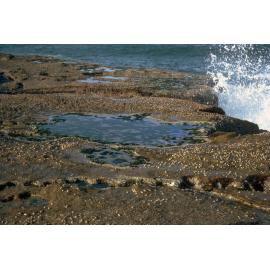 Barnacle Zone, Freshwater, 1965