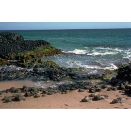 Zonation on Rock Platform, Dunsborough, 1986