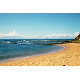 Long Reef Beach, Collaroy, 1986