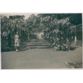 Woman Standing in front of House and Wisteria, Narrabeen, 1943