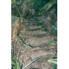 Stone steps on track from Lovett Bay to Lookout, 2003