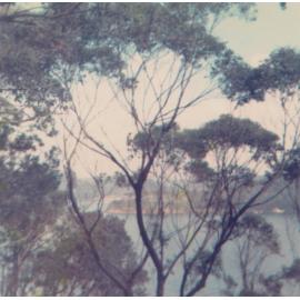 View from Morning Bay looking to Woody Point, c1970