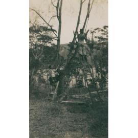Starting to Clear the Land, 1952