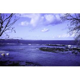 Rock Platform, Minnie Water, 1996