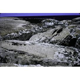 Galeolaria Band, Freshwater