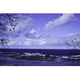 Rock Platform, Minnie Water, 1996