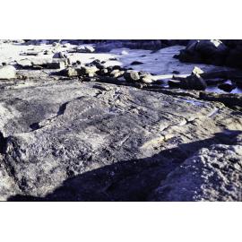Blue Green Algae, Cape Leeuwin, 1986