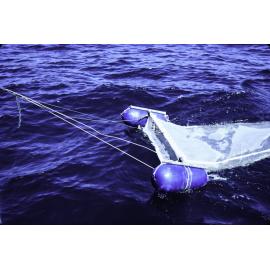 Plankton Net, 1986