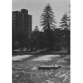 Manly Cove with Elizabeth Towers and Norfolk Island Pines, Manly, c1967-1973