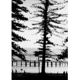 View of the esplanade and boardwalk at Manly Cove, c1967–1973