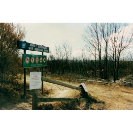 Manly Dam fire damage, Manly, 2000