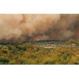 Red Hill bush fire, Frenchs Forest, 1994