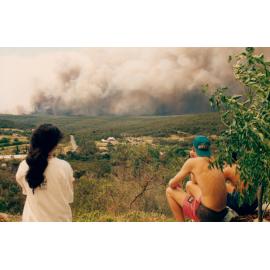 Bush fire viewing point at Frenchs Forest, 1994