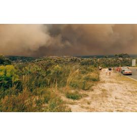 Bush fire smoke over Frenchs Forest, Frenchs Forest, 1994