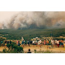 Bush fire viewing point at Frenchs Forest, Frenchs Forest, 1994
