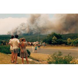 Bush fire viewing point at Frenchs Forest, Frenchs Forest, 1994