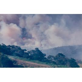 Bush fire smoke over Allambie Heights, Allambie Heights, 1990