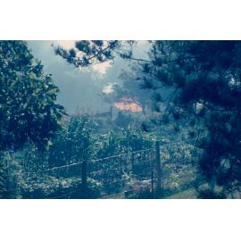 Vegetation and flames near property boundary, Allambie Heights, 1990