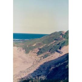 Coastal dunes near Long Reef golf course, Long Reef, 1992
