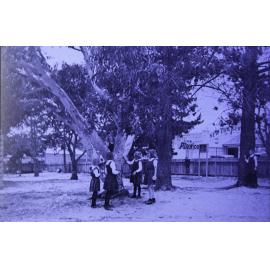 Balgowlah Public School Playground, Seaforth, 1940s
