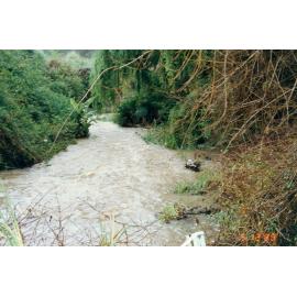 Manly Creek in flood