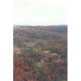 Bushfire damage, Elanora Heights