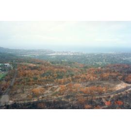 Bushfire damage, Elanora Heights
