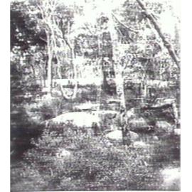 Bushland, Wingala Reserve, North Curl Curl looking south