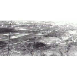 Aerial view of Brookvale