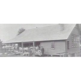 Pupils at Narrabeen Public School